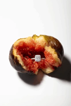 Solitaire Kim(Solitaire Kim)