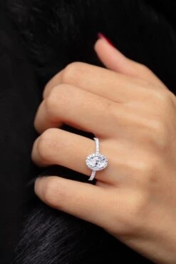 Solitaire Noa(Solitaire Noa)