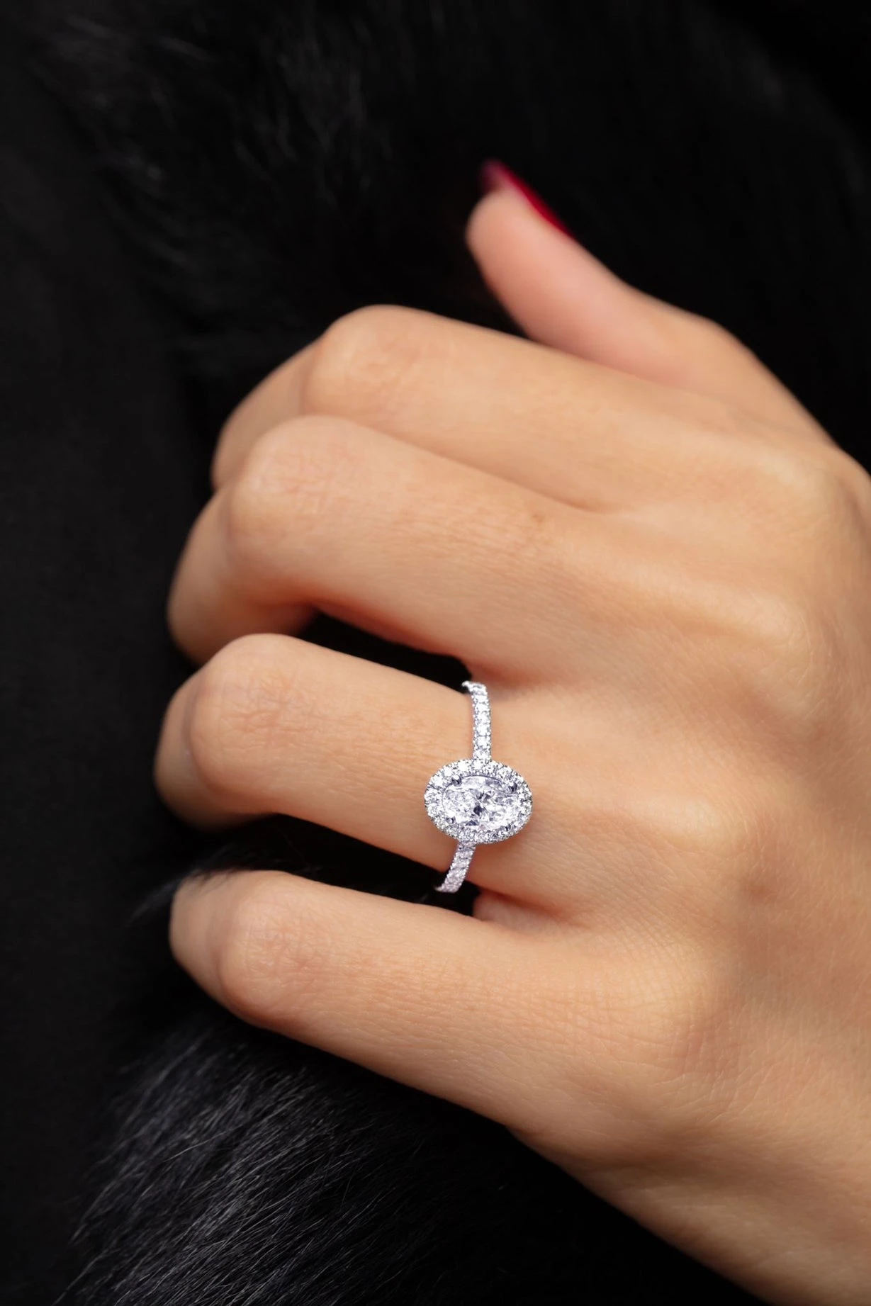 Solitaire Noa(Solitaire Noa) 3 Solitaire Noa(Solitaire Noa)