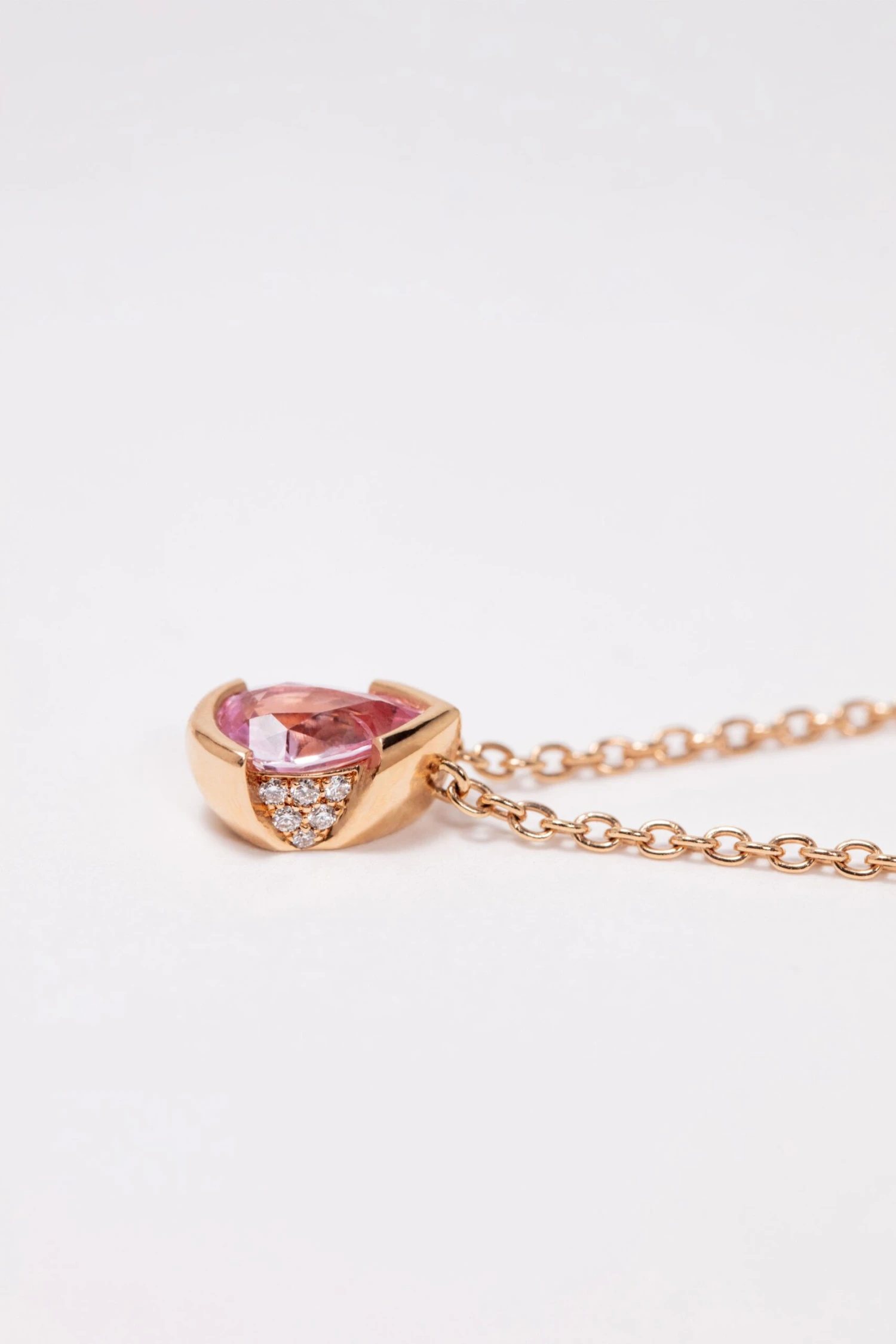 Hoya(Collection Chroma Collier Hoya) 4 Hoya(Collection Chroma Collier Hoya) - Image 2