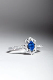 Hortensia(Hortensia)