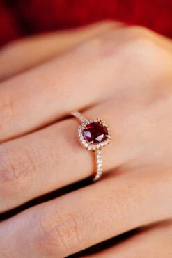 Camelia(Camelia) -MAISON ISOR Boutique LP saint valentin camelia d07bb3d6 b223 4469 82b0 2d97b6ec5b8a