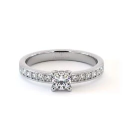 Solitaire Camelia(Solitaire Camelia)