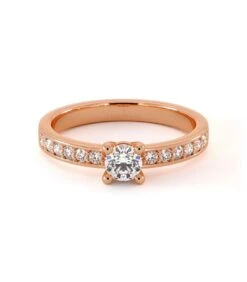 Solitaire Camelia(Solitaire Camelia 2)