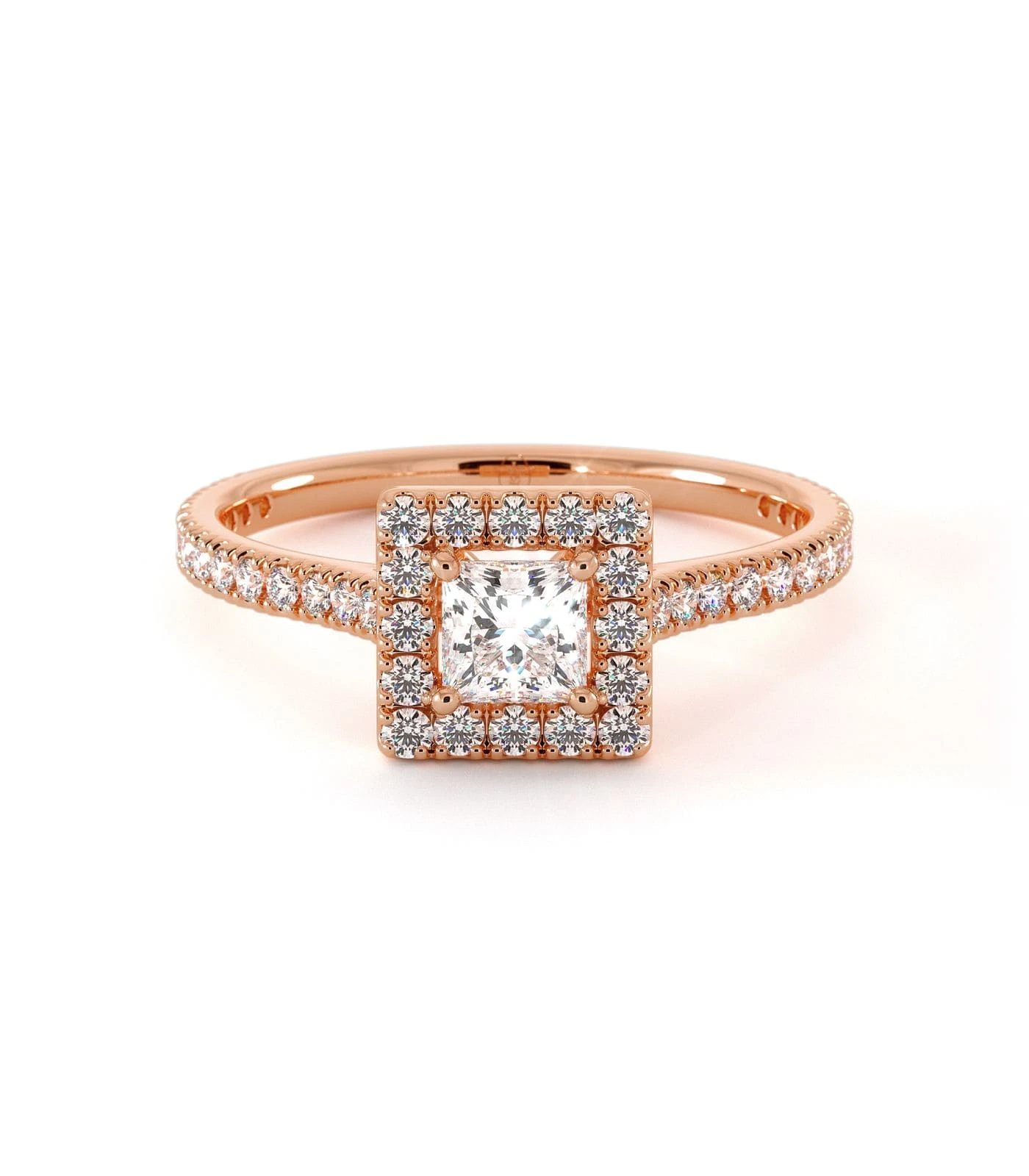 Solitaire Jacana(Solitaire Jacana) 7 Solitaire Jacana(Solitaire Jacana) - Image 5