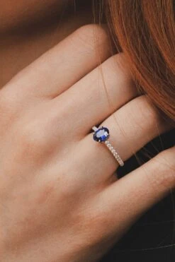 Puget Blue(Puget Blue)